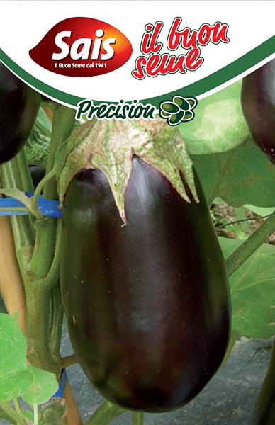 Baklažán Samba F1, cca 50 semien